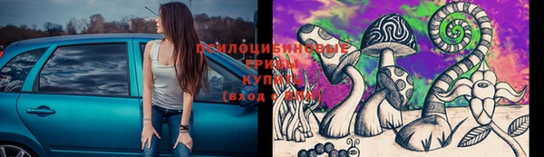 гашик Нефтегорск