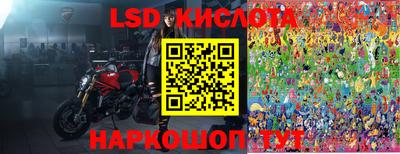 прущие грибы Донской
