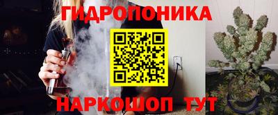 прущие грибы Донской