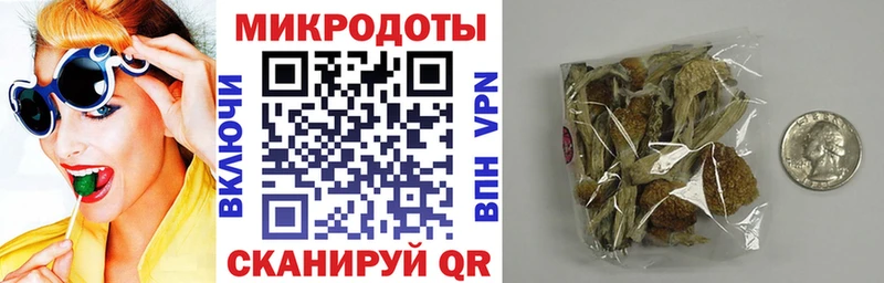 Псилоцибиновые грибы прущие грибы  Москва 