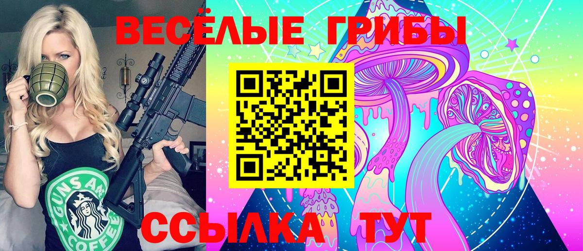 Москва  Галлюциногенные грибы MAGIC MUSHROOMS  Вход с VPN 