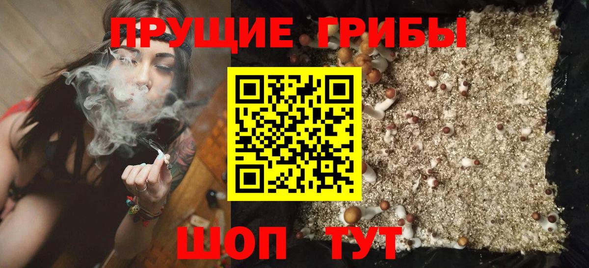 Галлюциногенные грибы Cubensis Москва